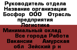 Руководитель отдела › Название организации ­ Босфор, ООО › Отрасль предприятия ­ Логистика › Минимальный оклад ­ 35 000 - Все города Работа » Вакансии   . Амурская обл.,Зейский р-н